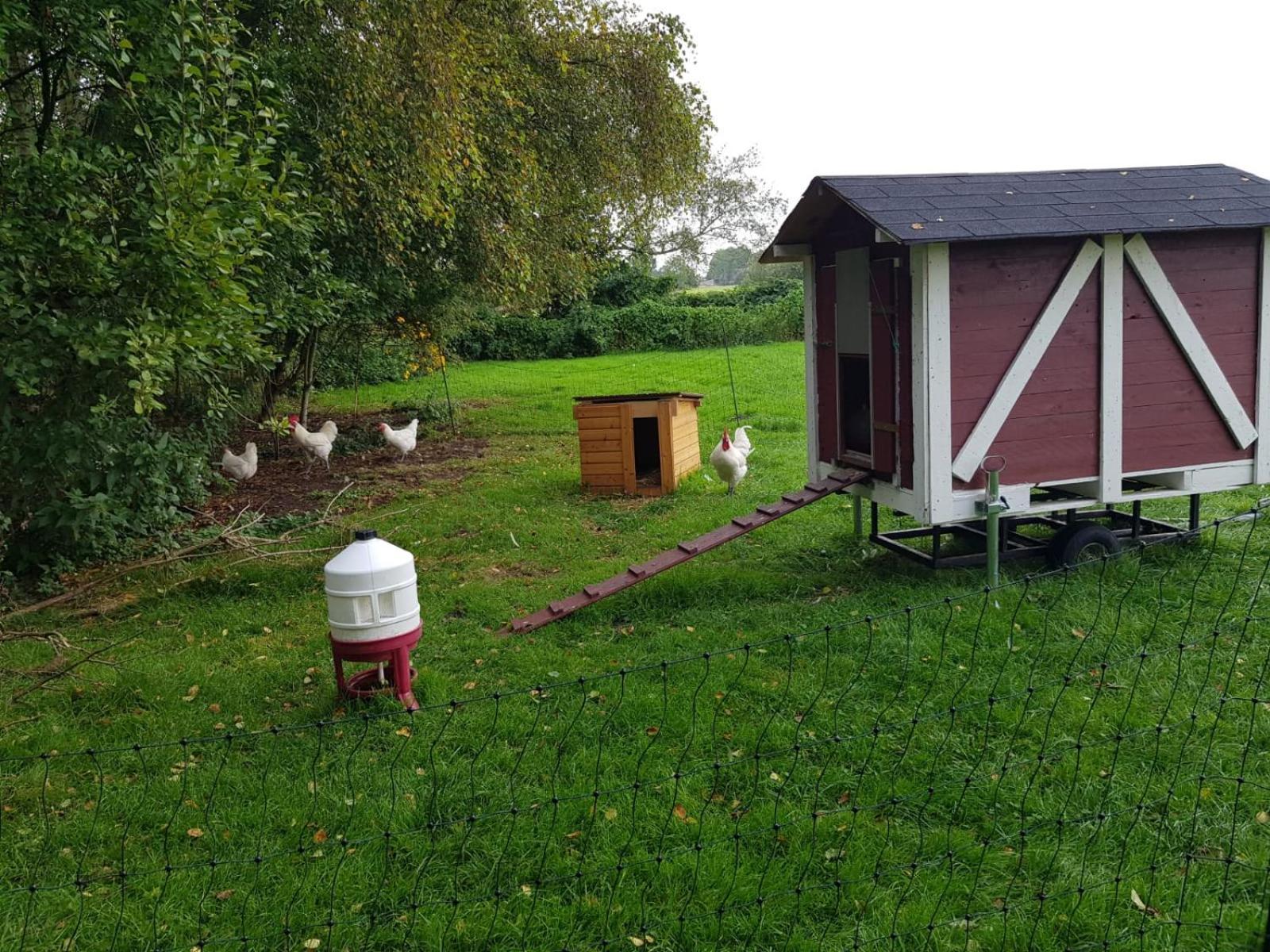 Neu! Landhaus Ostfriesenruhe Berumbur Kültér fotó